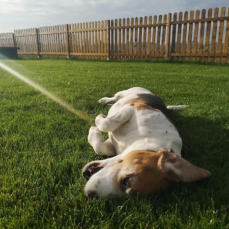 بيت للعطل Ranczo - Wynajmij Sobie Spokoj *