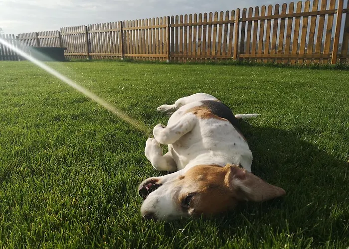 Holiday home Ranczo - Wynajmij Sobie Spokoj *