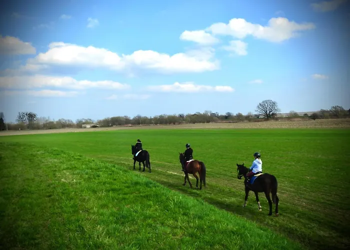Ranczo - Wynajmij Sobie Spokoj Lubowice